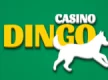 Casino dingo